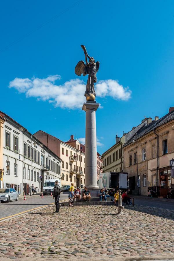Angel House Vilnius 40アパートメント エクステリア 写真